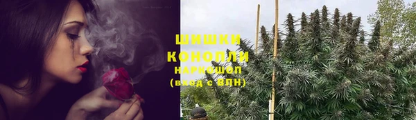 спиды Пересвет