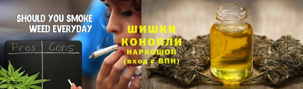 сатива Алзамай