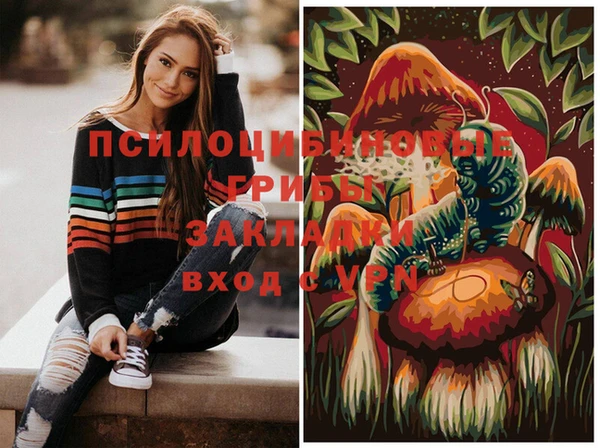 сатива Алзамай