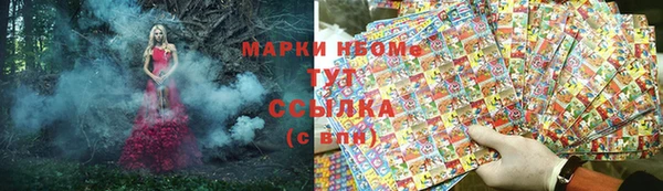 сатива Алзамай