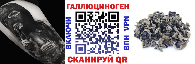 гидра tor  Арск  Псилоцибиновые грибы прущие грибы 